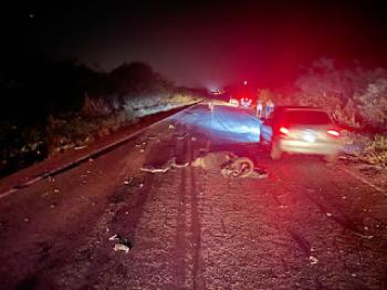 Motociclista morre em grave acidente na BR-407