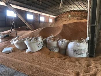 Homens armados invadem fazenda no oeste da Bahia e roubam 120 toneladas de milho