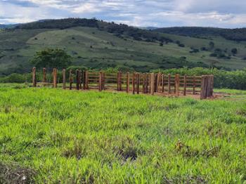 Idoso morre após ataque de abelhas em Itiruçu