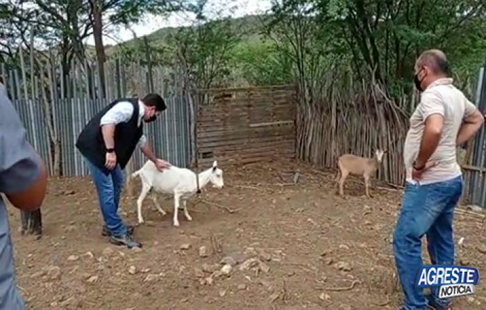 Doenças em animais gera preocupação a autoridades e produtores de Santa Cruz Doenças em animais gera preocupação a autoridades e produtores de Santa Cruz