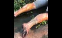 Corpo de homem foi encontrado no Rio das Contas com marcas de bala