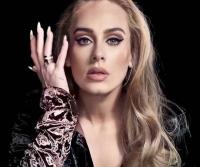 Martinho da Vila processa Adele por plágio da música Mulheres