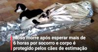 Idoso espera mais de 6h por socorro é protegido por cães de estimação mas não resiste