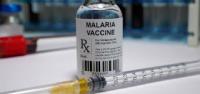 Em decisão histórica, OMS aprova primeira vacina contra a malária